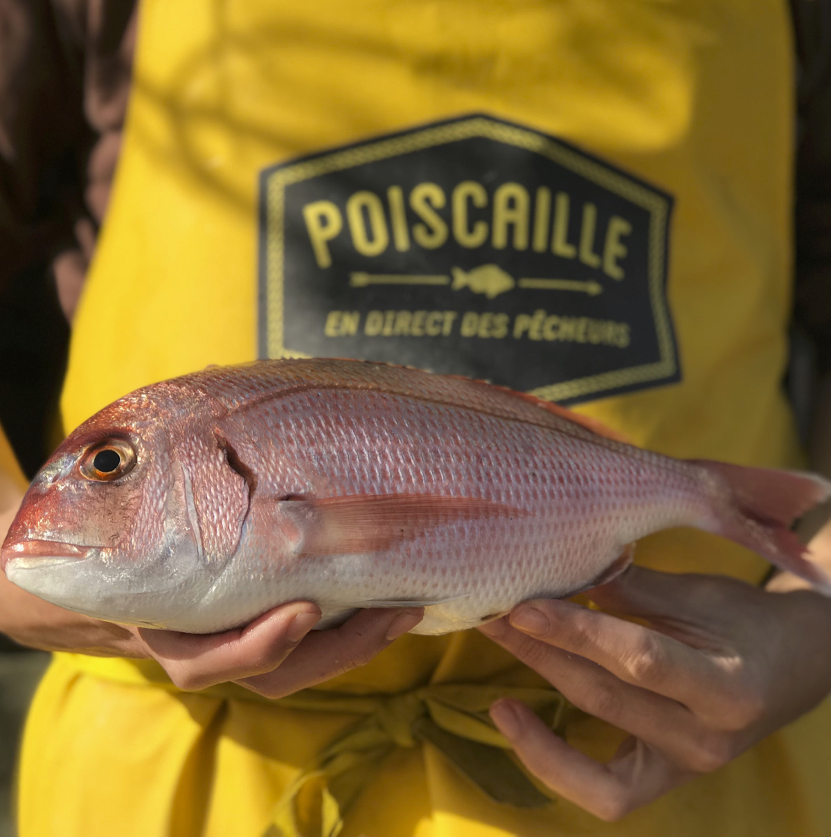 Votre casier de la mer - Poiscaille