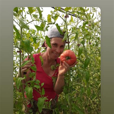 Potager de Maria - VELAUX